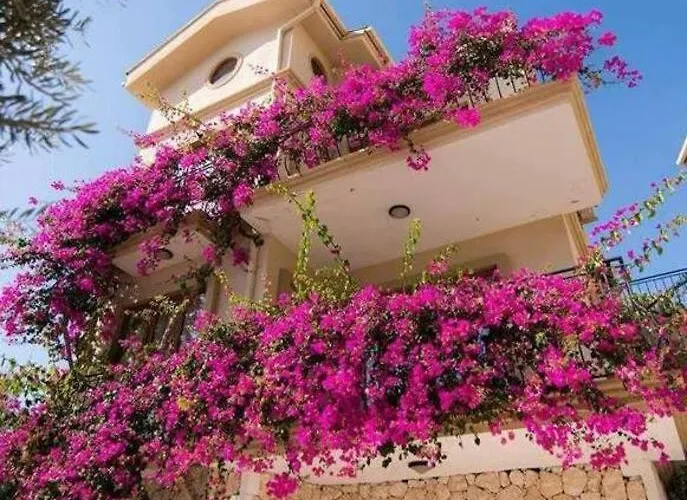 Kleo Mediterranean Garden Complex *